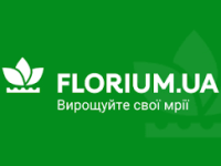 завантаження