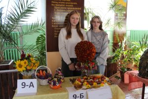 Img 4547
