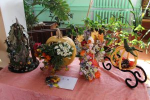 Img 4548