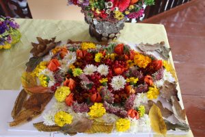 Img 4565