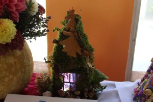 Img 4567