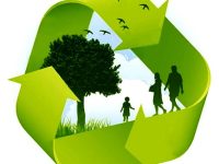 15 05 08 Ekologiya Org