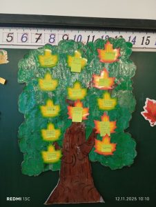 Photo 5235912438224456533 Y