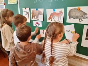 Photo 5235912438224456561 Y