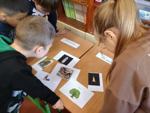 Photo 5235912438224456563 Y