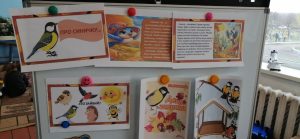 Photo 5238018780380728921 Y