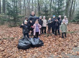 Photo 5238164238038142071 Y