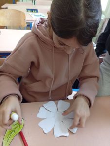 Photo 5251708765298430076 Y