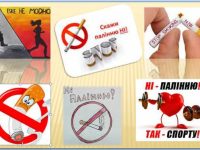 Photo 5258459990031274560 X