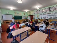 Photo 5260349560893148742 Y