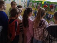 Photo 5262708318277405843 Y