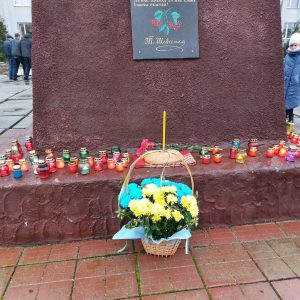 Photo 5262708318277405905 Y