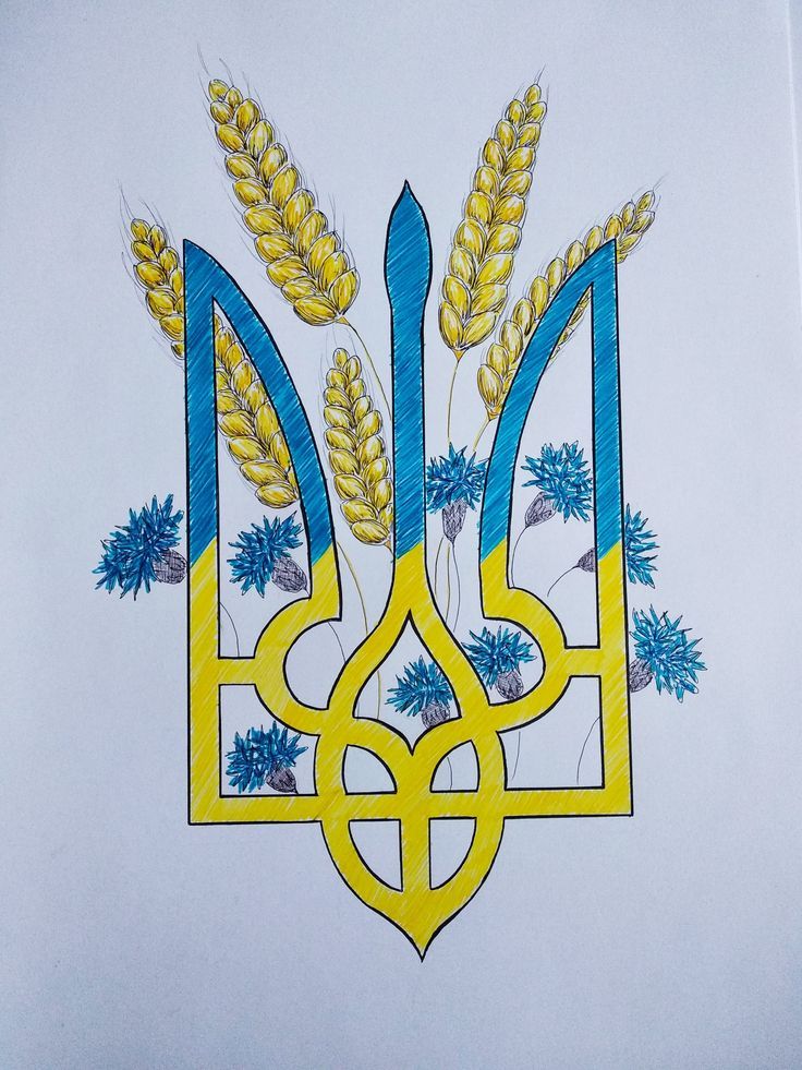 31b99e77a7da21a27bffa9d92b5c11af