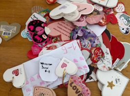 Photo 5231432606946104621 Y