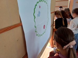 Photo 5303060201743258835 Y