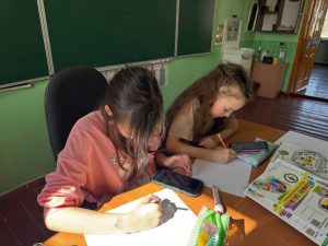 Photo 5328269714150593853 Y